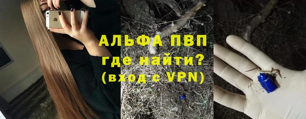 СК Аркадак