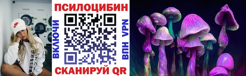 Псилоцибиновые грибы Psilocybe Кубинка
