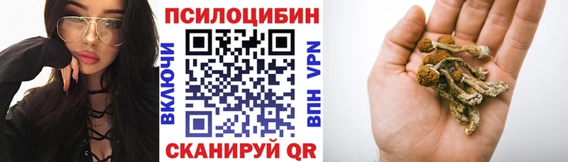 Купить где  Кубинка  Псилоцибиновые грибы прущие грибы 
